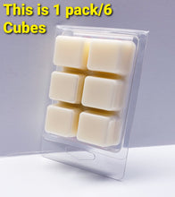 Load image into Gallery viewer, SUMMER BOARDWALK -Bath & Body Works Candle Wax Melts, 2.5 oz