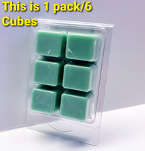 Load image into Gallery viewer, WAIKIKI BEACH COCONUT -Bath & Body Works Candle Wax Melts, 2.5 oz