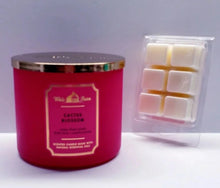 Load image into Gallery viewer, CACTUS BLOSSOM -Bath & Body Works Candle Wax Melts, 2.5 oz