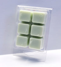 Load image into Gallery viewer, CUCUMBER MELON -Bath & Body Works Candle Wax Melts, 2.5 oz