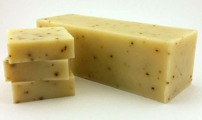 EUCALYPTUS ALOE Natural Bar Soap, 5 oz