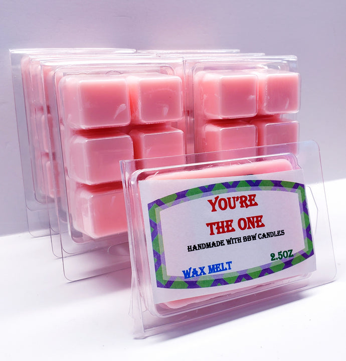 YOU'RE THE ONE -Bath & Body Works Candle Wax Melts, 2.5 oz